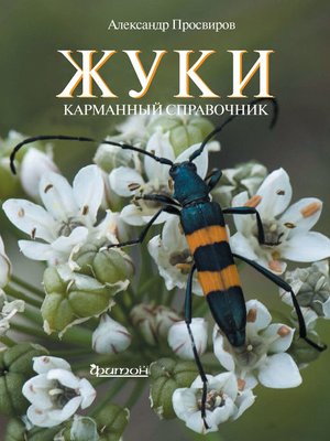 cover image of Жуки
